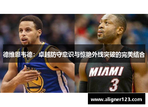 德维恩韦德：卓越防守意识与惊艳外线突破的完美结合