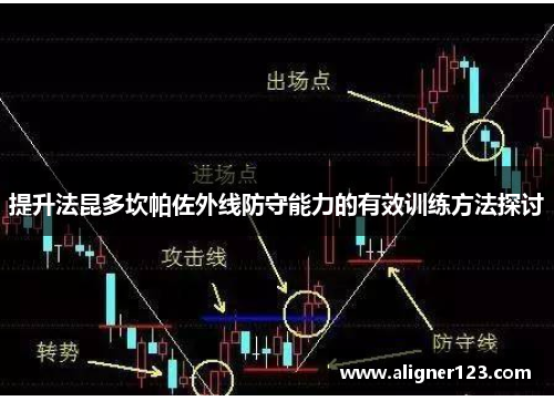 提升法昆多坎帕佐外线防守能力的有效训练方法探讨