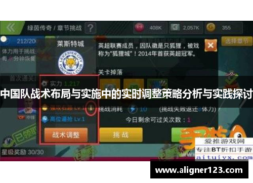 中国队战术布局与实施中的实时调整策略分析与实践探讨