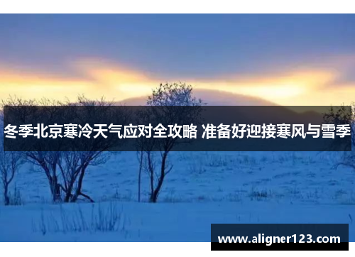 冬季北京寒冷天气应对全攻略 准备好迎接寒风与雪季