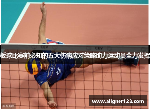 板球比赛前必知的五大伤病应对策略助力运动员全力发挥
