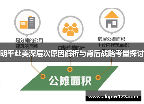 朗平赴美深层次原因解析与背后战略考量探讨